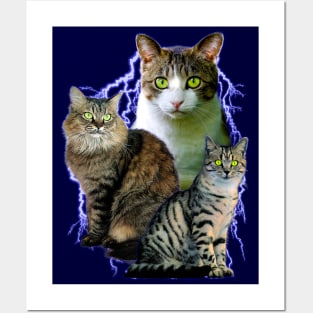 Lightning Cats - Vintage 90's Animal Design (it is so cool) Posters and Art